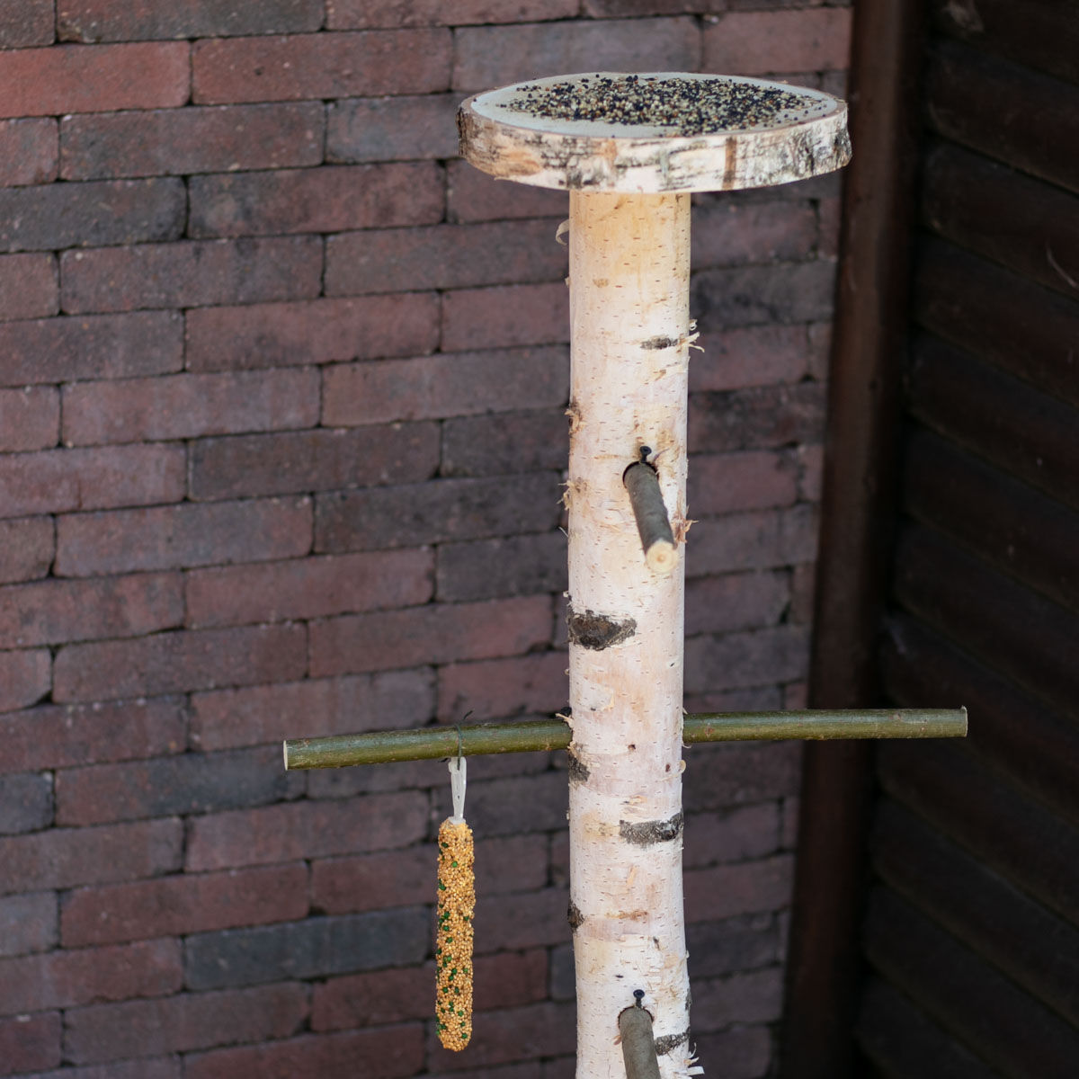 Decoratietakken Knoops