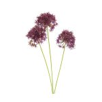 3 Künstliche Alliumblüten | Fuchsie | 60 cm