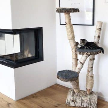 Kratzbäume aus Holz