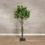 Baum Venetië | 180cm