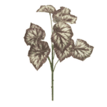 Blatt Begonie | Rot-Grün | 45cm