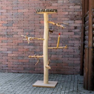 Vogelbäume