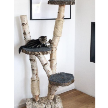 Kratzbäume aus Holz