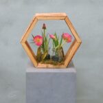 Hexa | Botanischer Garten | 25 cm
