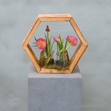 Hexa | Botanischer Garten | 25 cm