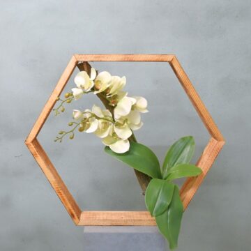 Hexa | Orchidee Eleganz | 50cm