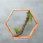 Hexa | Waldgrün | 50 cm