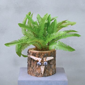 Eichenstämmchen | Waldreich | 30 cm