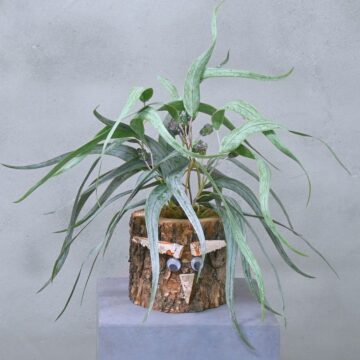 Eichenstämmchen | Weidenruhe | 30 cm