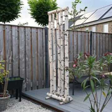 Birken-Raumteiler | Jorn | Mit Birkenstammfuß | 60×25×200 cm