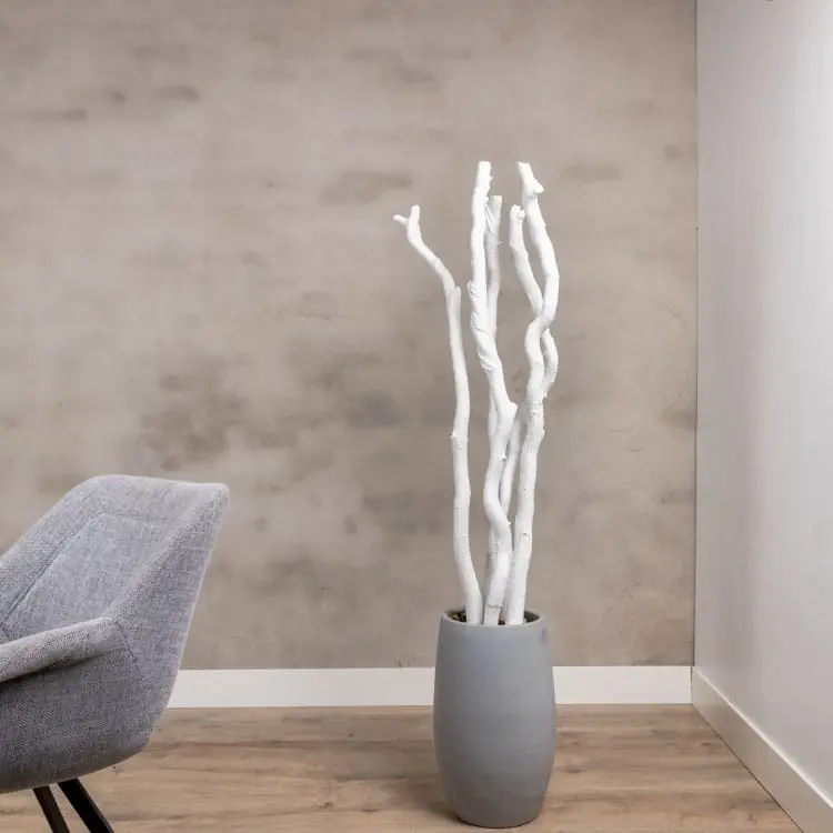 5 Robuuste Wilgentakken met pot Wit 150cm