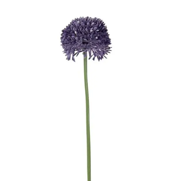Allium groot Paars 65cm