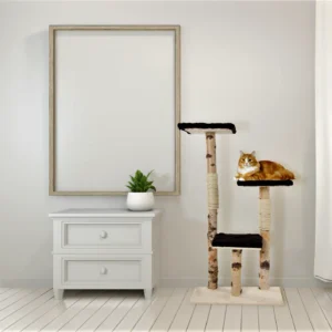 Berken Krabpaal Rocco 110x65cm