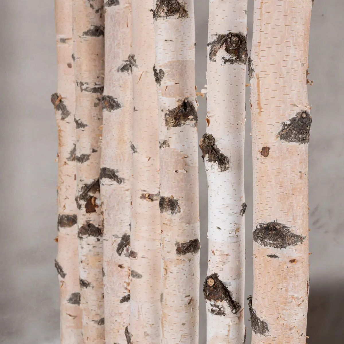 Berken Roomdivider Asta Met zwarte bak en wieltjes H180cm, middenstuk