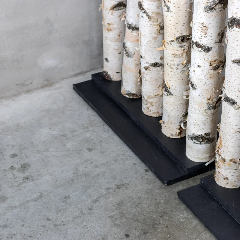 Berken Roomdivider Thor Met zwarte voet, foto van voet (3)