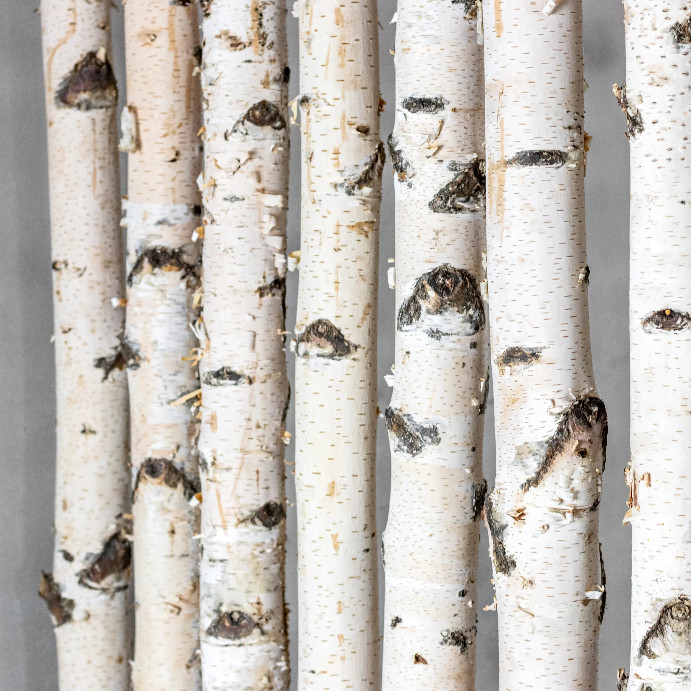 Berken Roomdivider, foto middenstuk