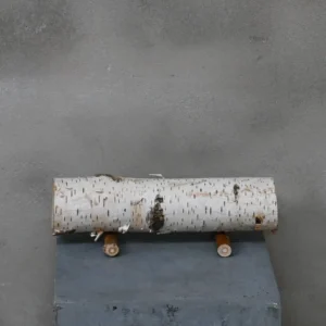 Berkenstam Decoratie op pootjes 25 cm Ø4-6