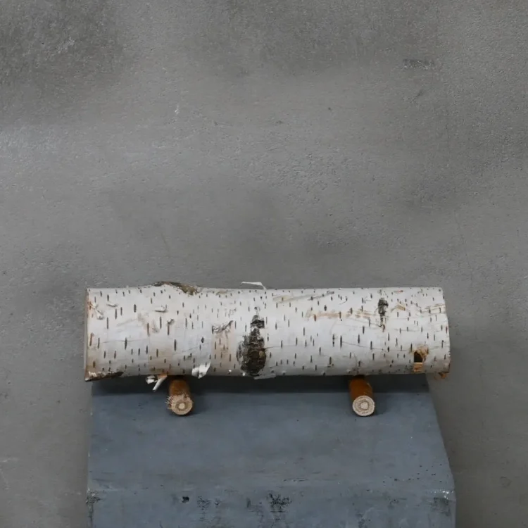 Berkenstam Decoratie op pootjes 25 cm Ø4-6