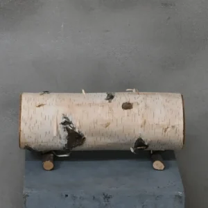 Berkenstam Decoratie op pootjes 25 cm Ø8-10