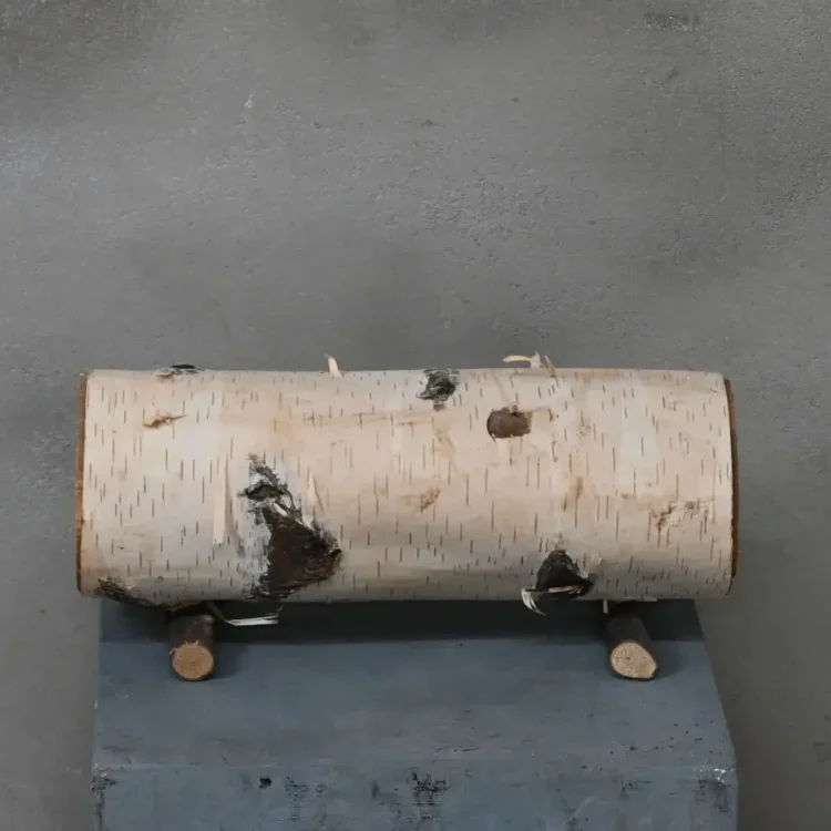 Berkenstam Decoratie op pootjes 25 cm Ø8-10