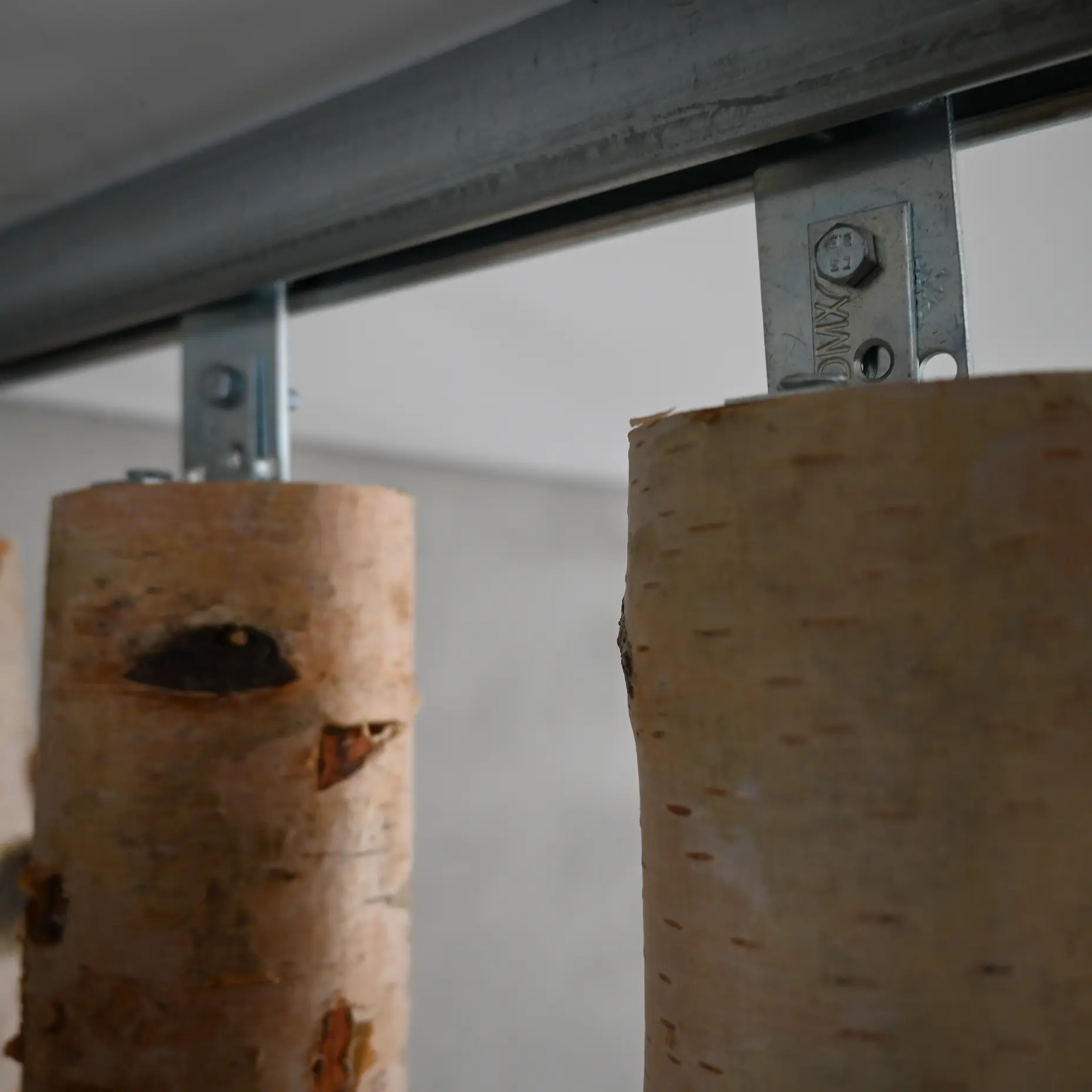 Berkenstam aan ophangrail (1) (1)