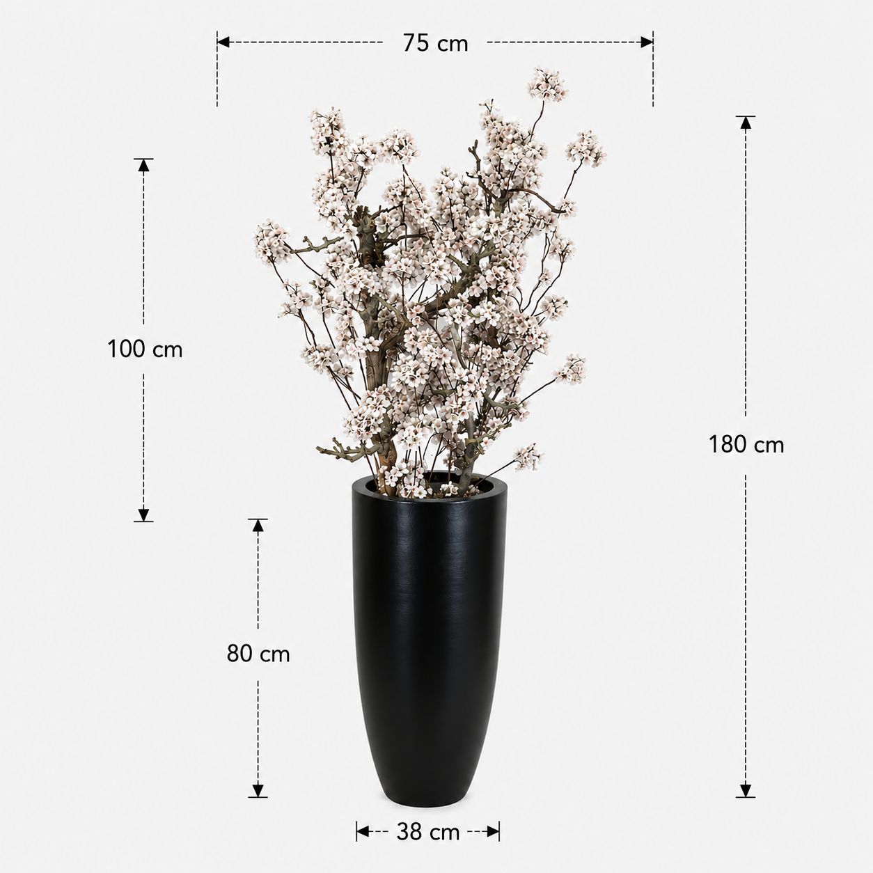 Bloesemboom Kate afmetingen
