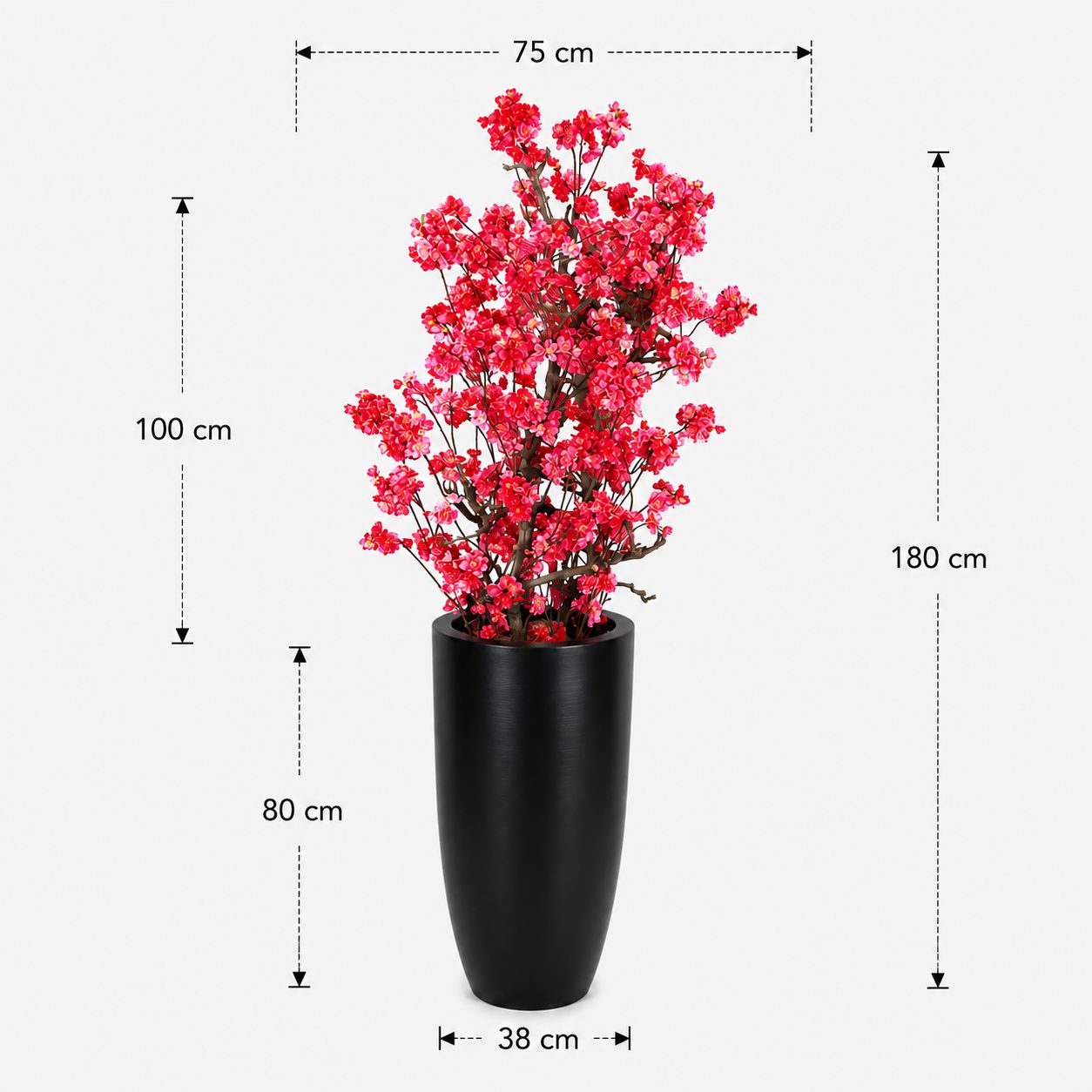 Bloesemboom Lola afmetingen
