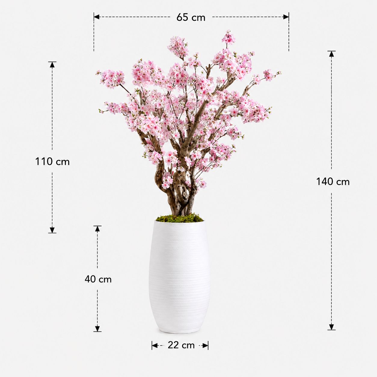 Bloesemboom Lova afmetingen