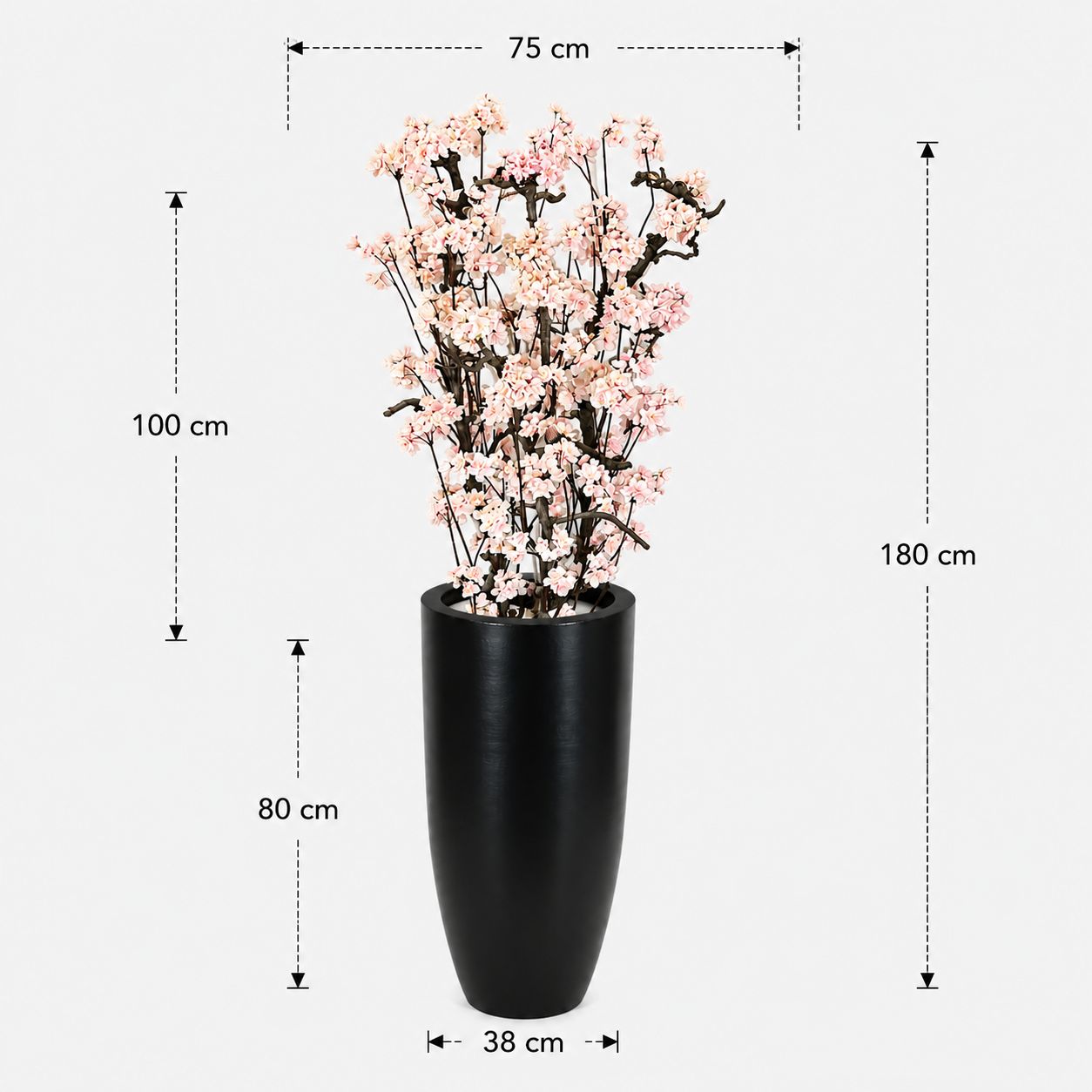 Bloesemboom Megan afmetingen