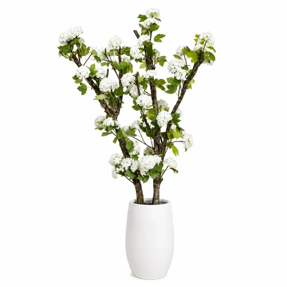 Schneeball-Hortensie weiß