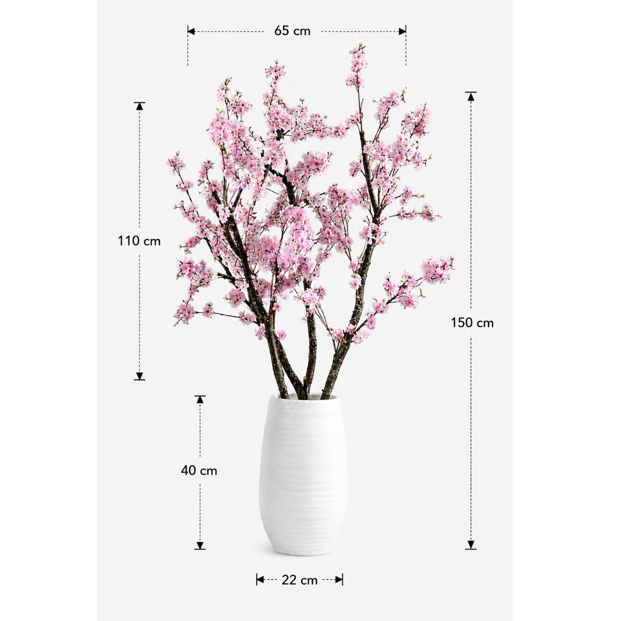 Bloesemboom Suze afmetingen