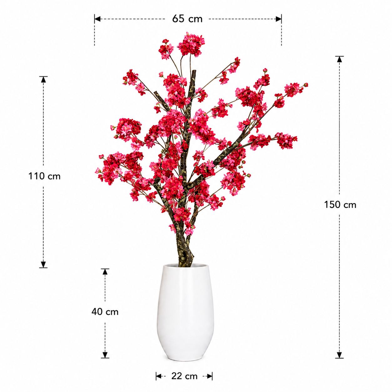Bloesemboom Vieve afmetingen