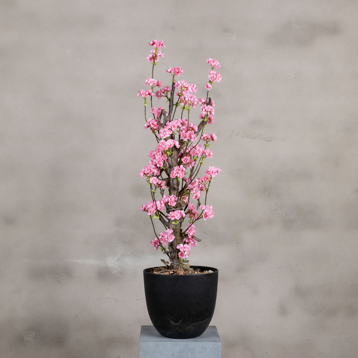 Bloesemstuk Charlotte 70cm