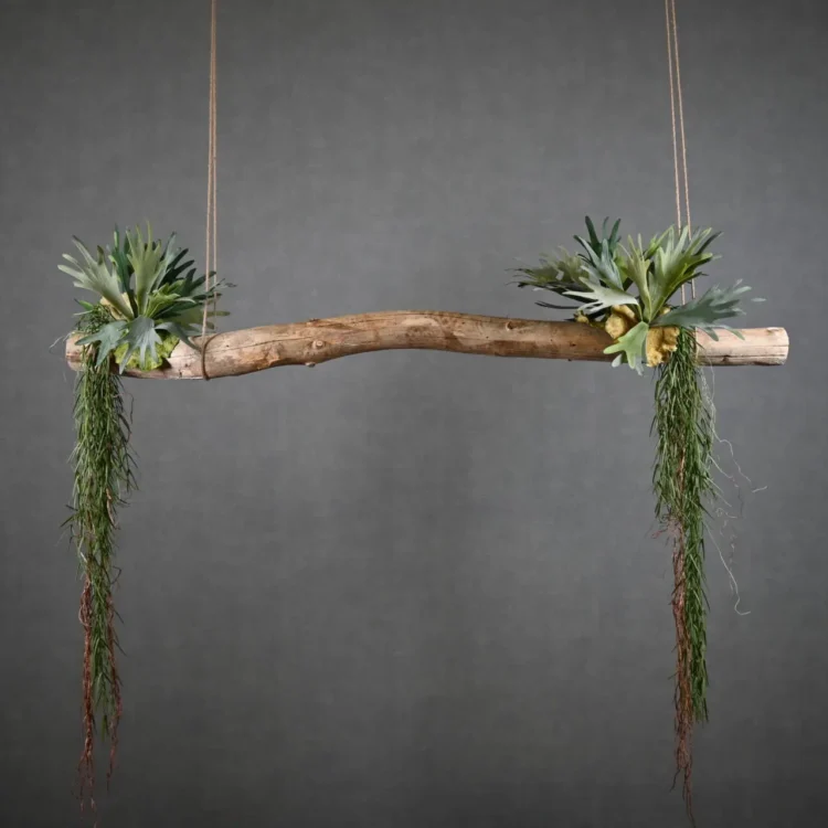 Boomstam Hanger Amargosa 150 cm