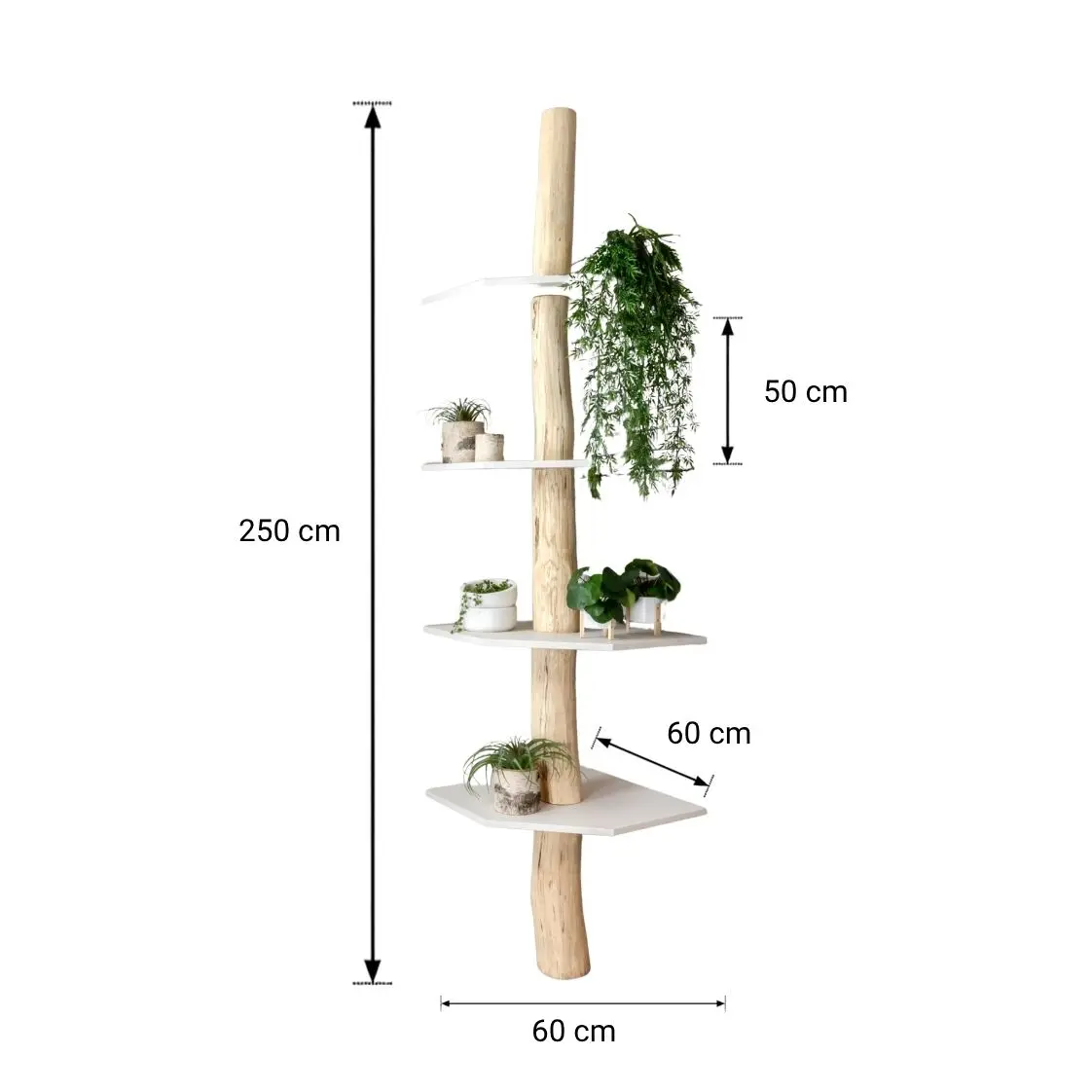 Boomstam Hoekkast _ Cedric _ Naturel_Wit _ 60x60x250