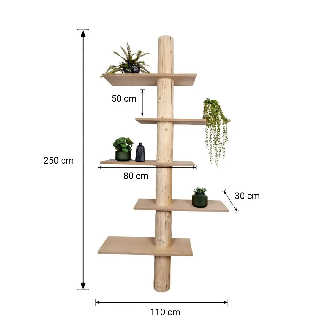 Boomstam Wandkast _ Esper _ Naturel _ 110x30x250