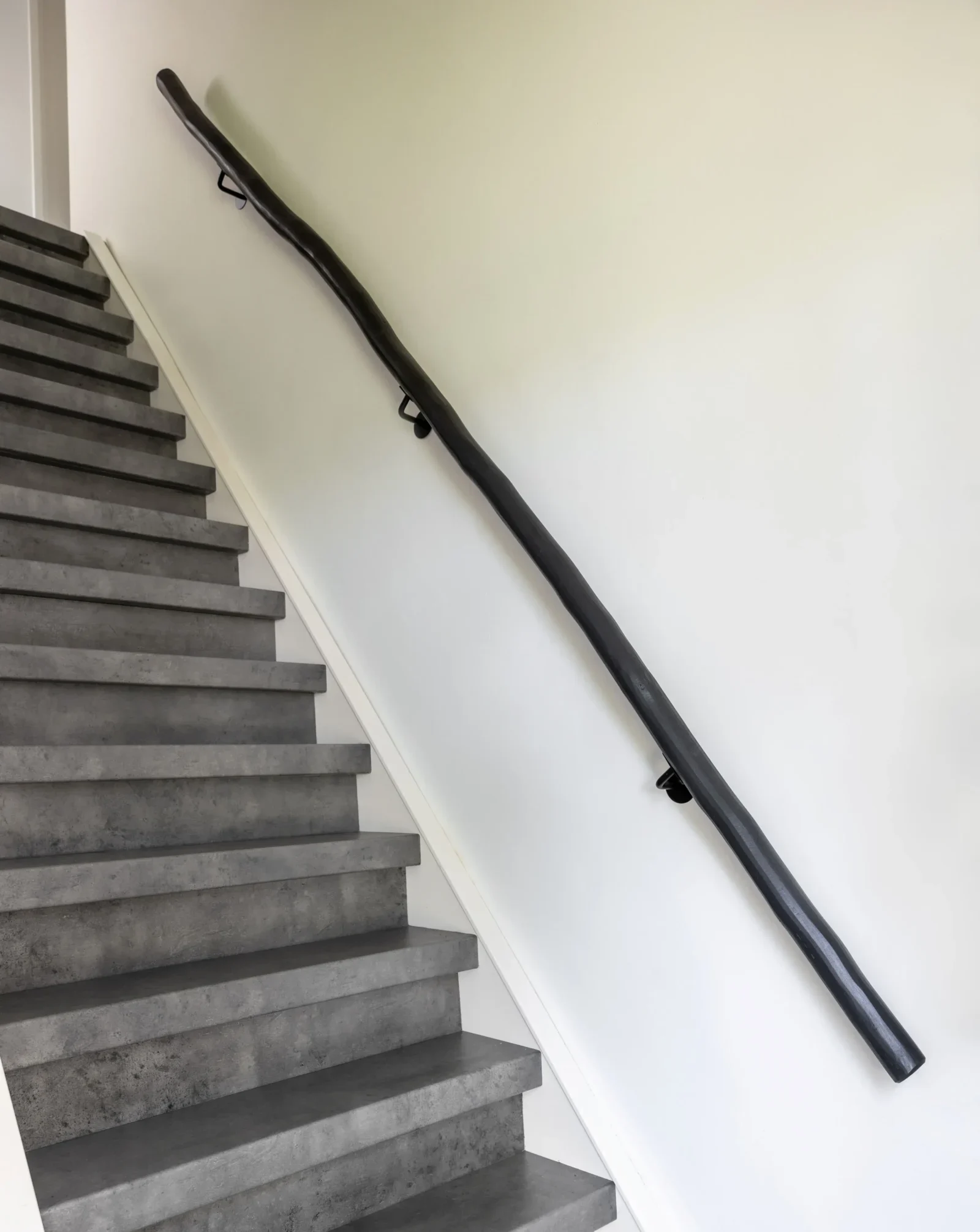 Boomstam trapleuning Zwart