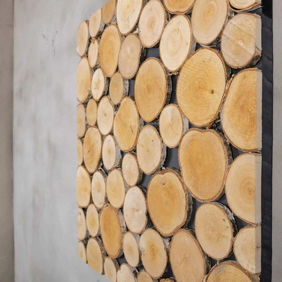 Boomstam wanddecoratie Ake vanaf 60x60cm (4)