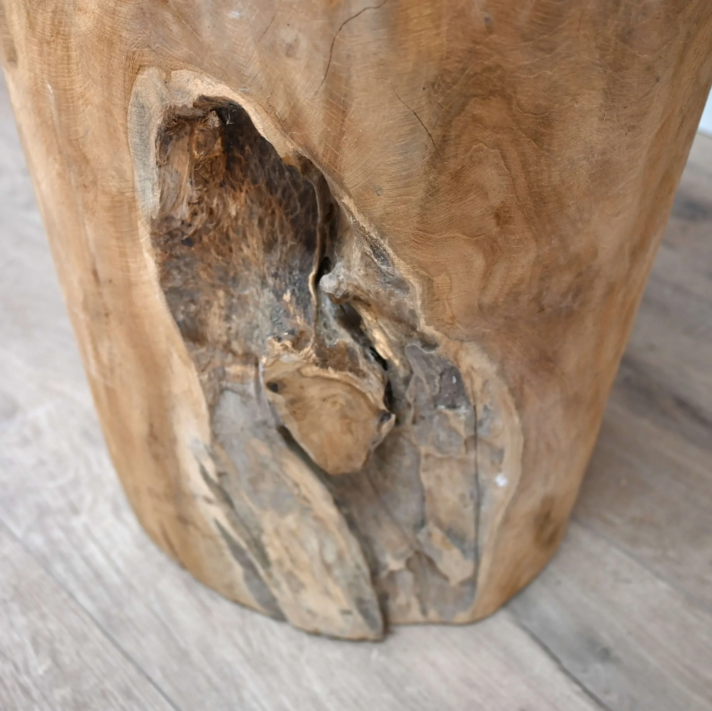 Boomstam zuil Jorn (1)