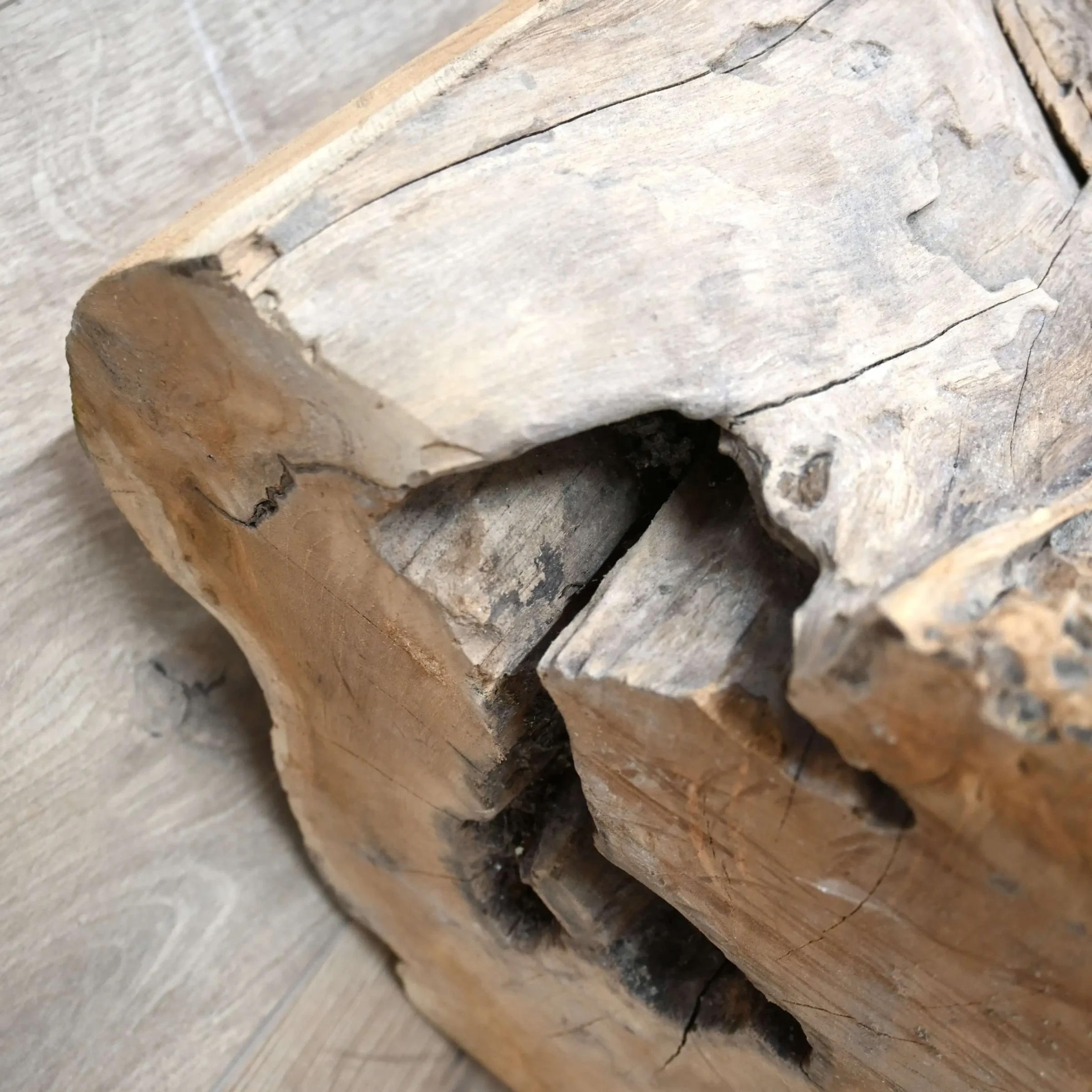 Boomstam zuil Jorn (6)