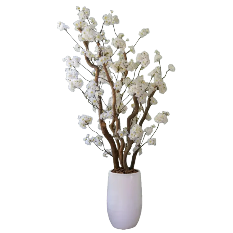 Categorie-Bomen-Nine