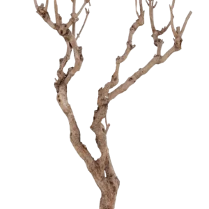 Dekoration Zweige