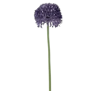 Allium Kunstblumen