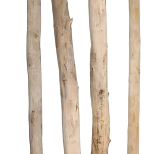 Entrindete Baumstämme