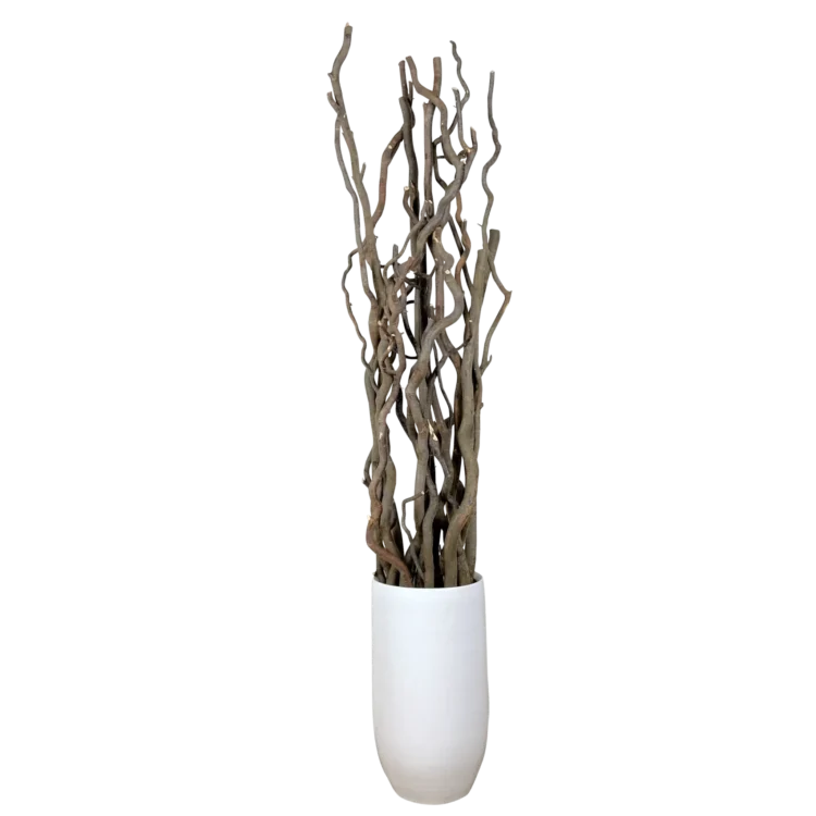 Categorie-Takken-Kronkelwilgtakken