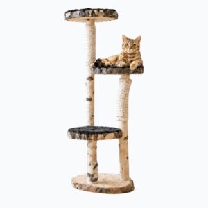 Geschenke zum Tag der Tiere