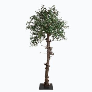 Olivenbaum
