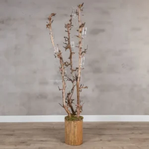 Champagneboom met drie perentakken – 150cm (1)