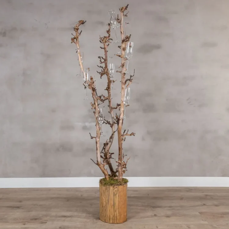 Champagneboom met drie perentakken – 150cm (1)