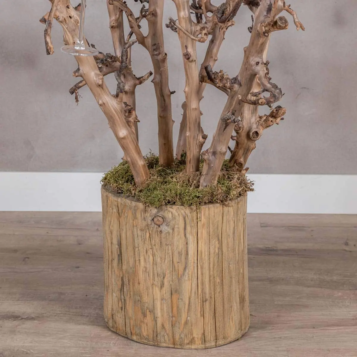 Champagneboom met zeven perentakken – 150cm (4)